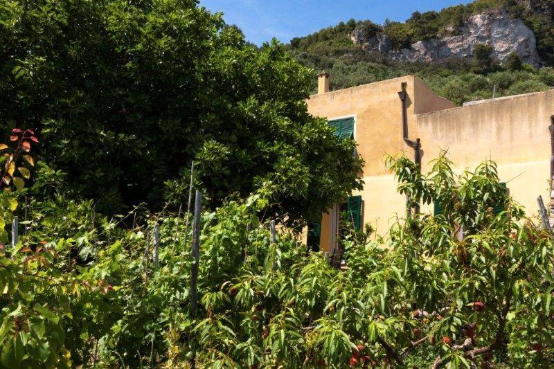 Agriturismo La Selva Hotel Finale Ligure Exterior foto